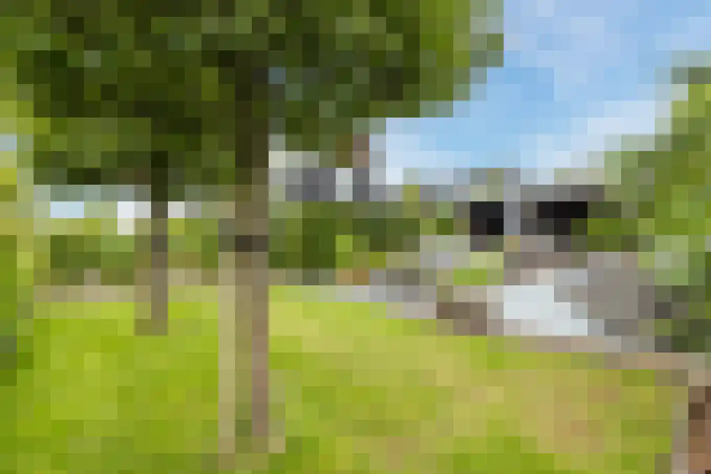 Weiver 109 Westzaan thumbnail 45