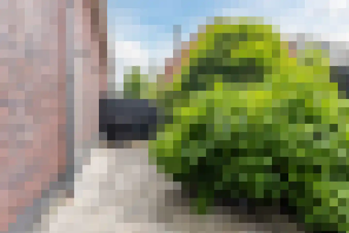 Weiver 109 Westzaan thumbnail 46