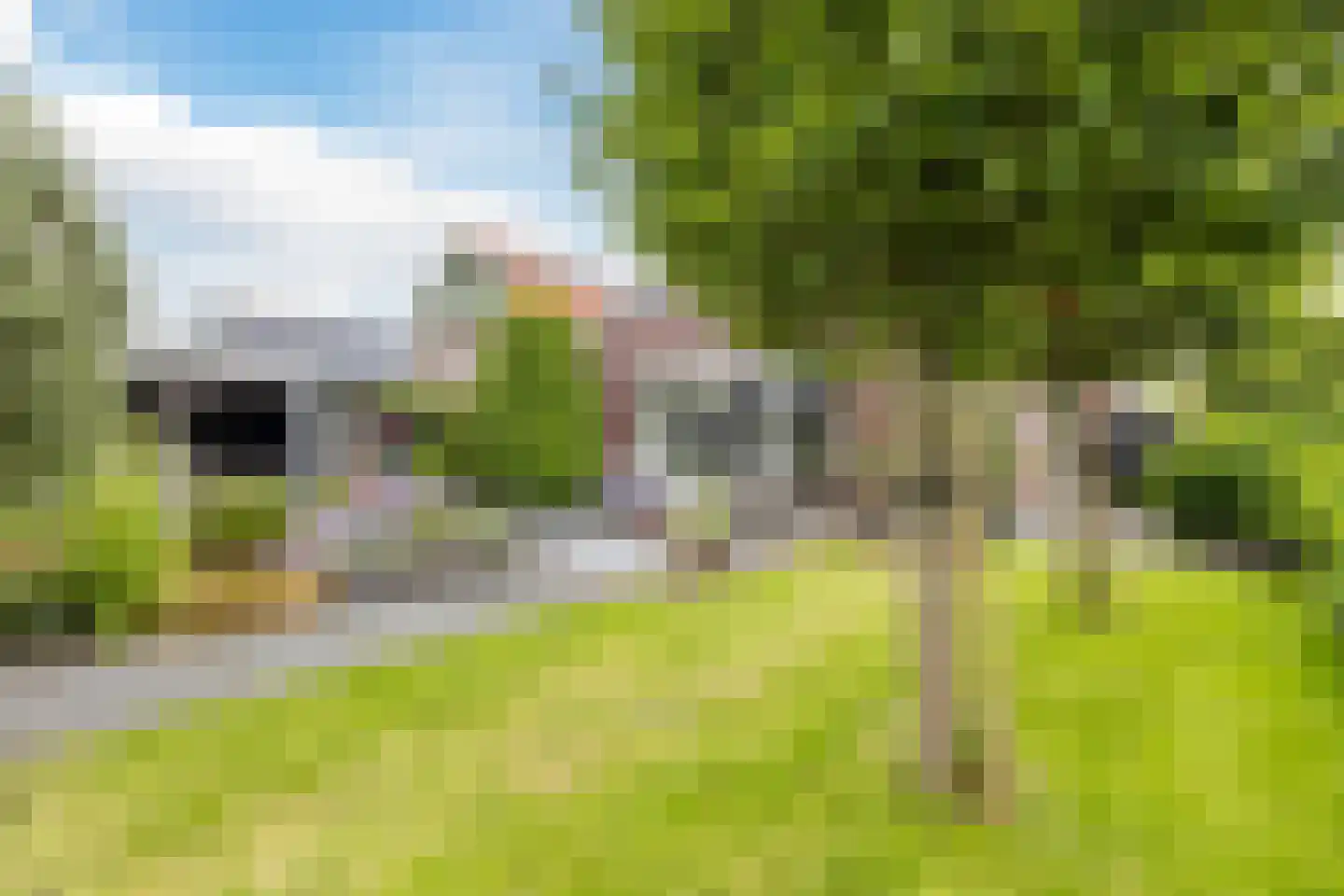 Weiver 109 Westzaan thumbnail 49