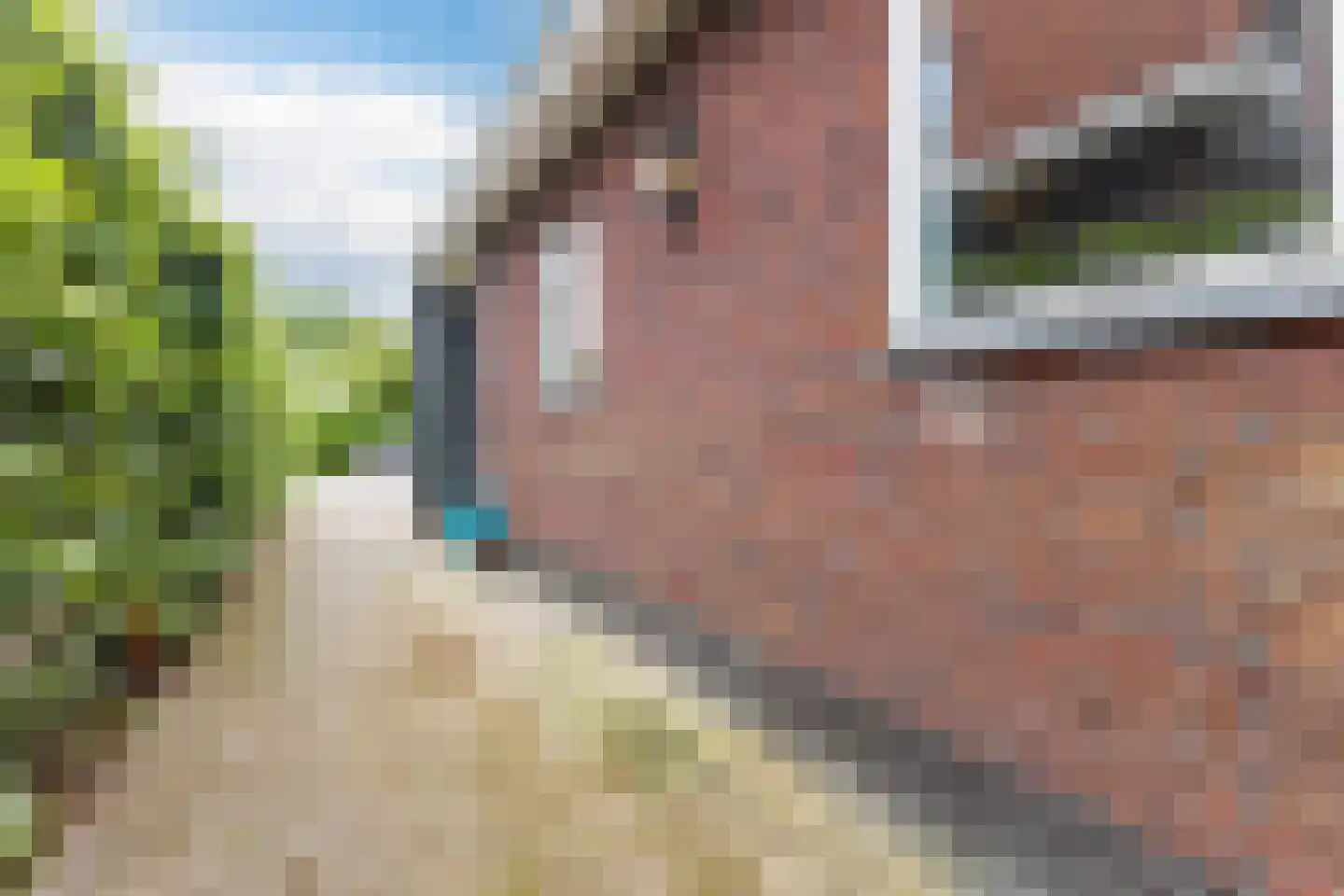 Weiver 109 Westzaan thumbnail 61