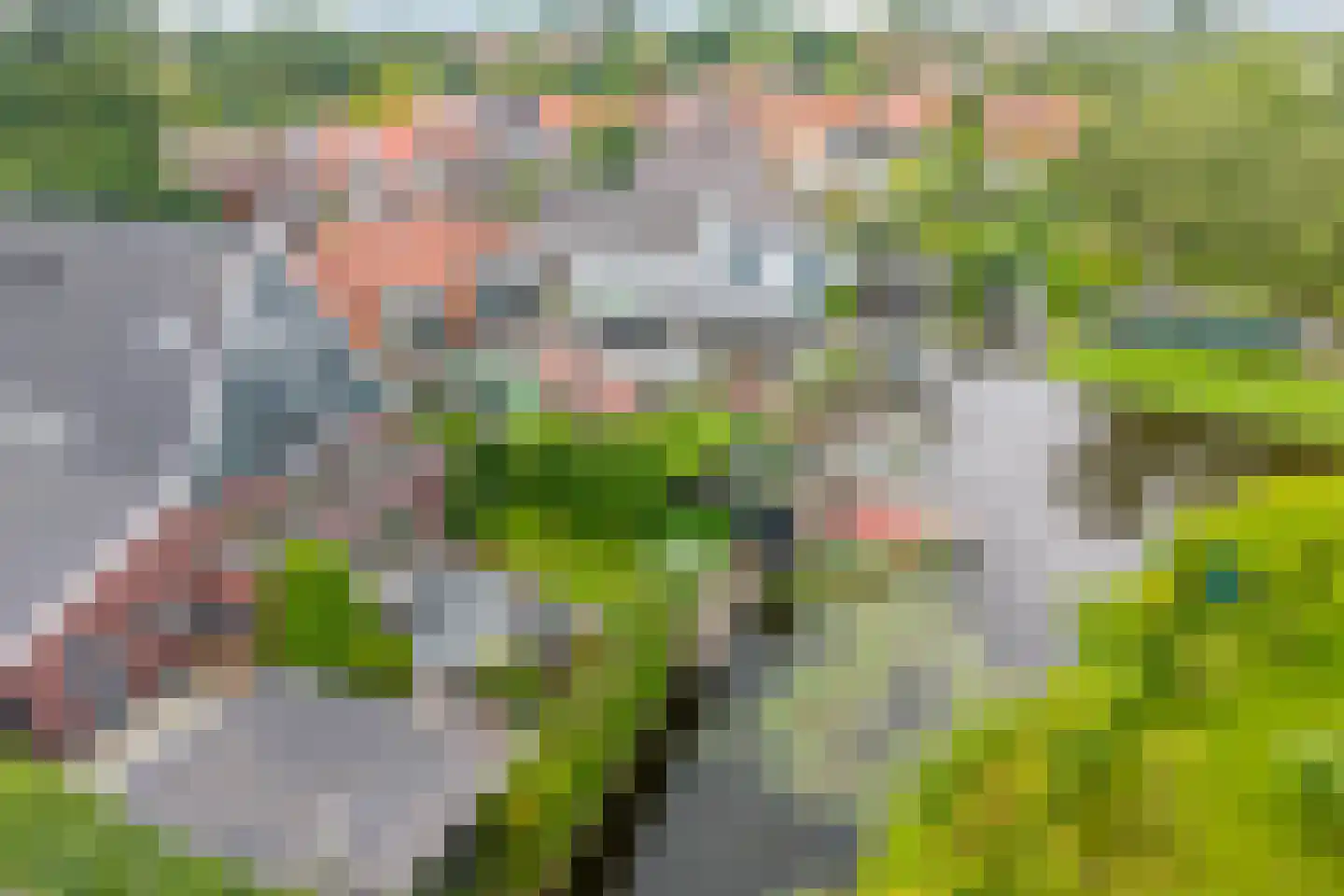 Weiver 109 Westzaan thumbnail 68