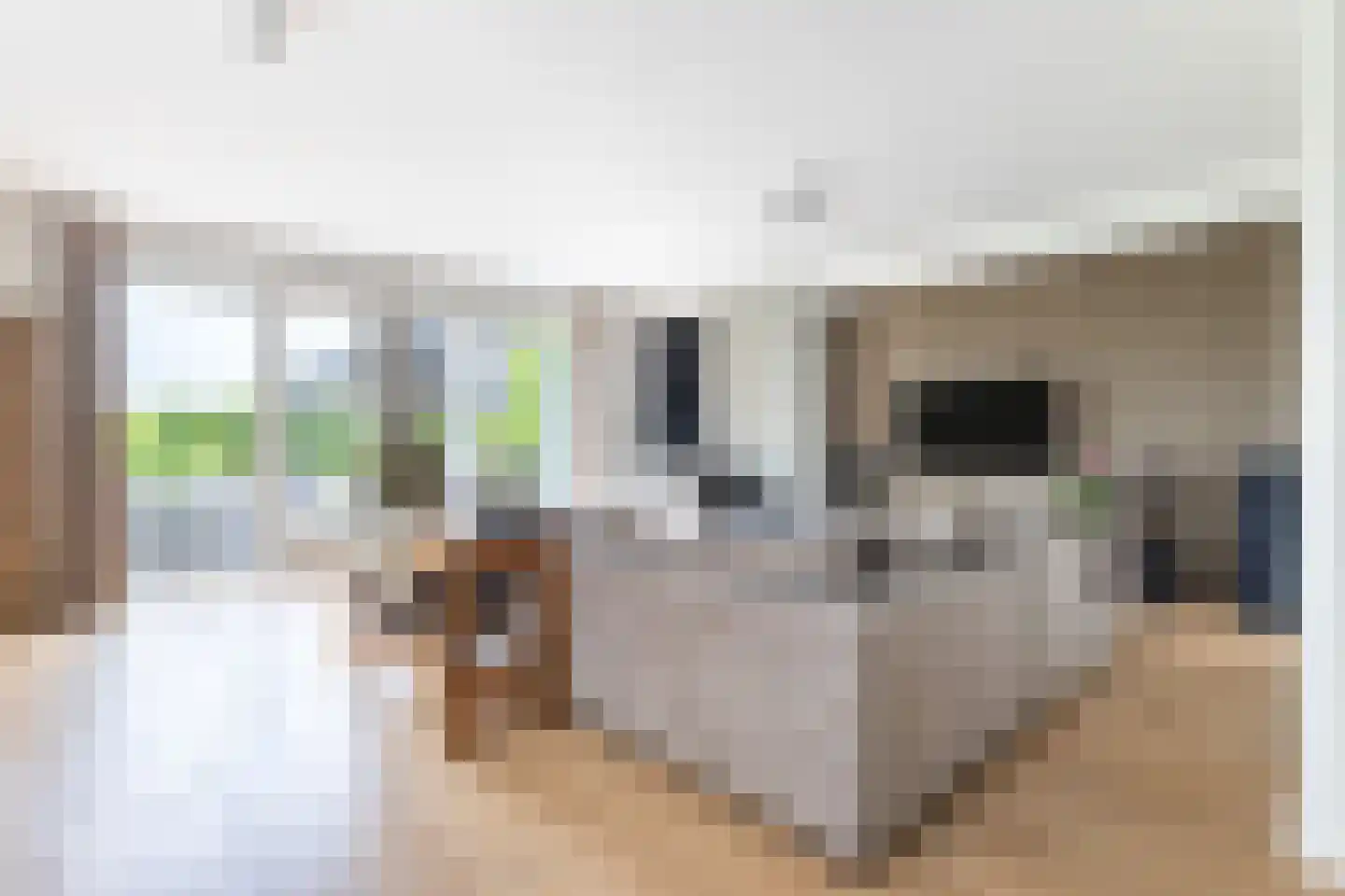 Weiver 109 Westzaan thumbnail 7