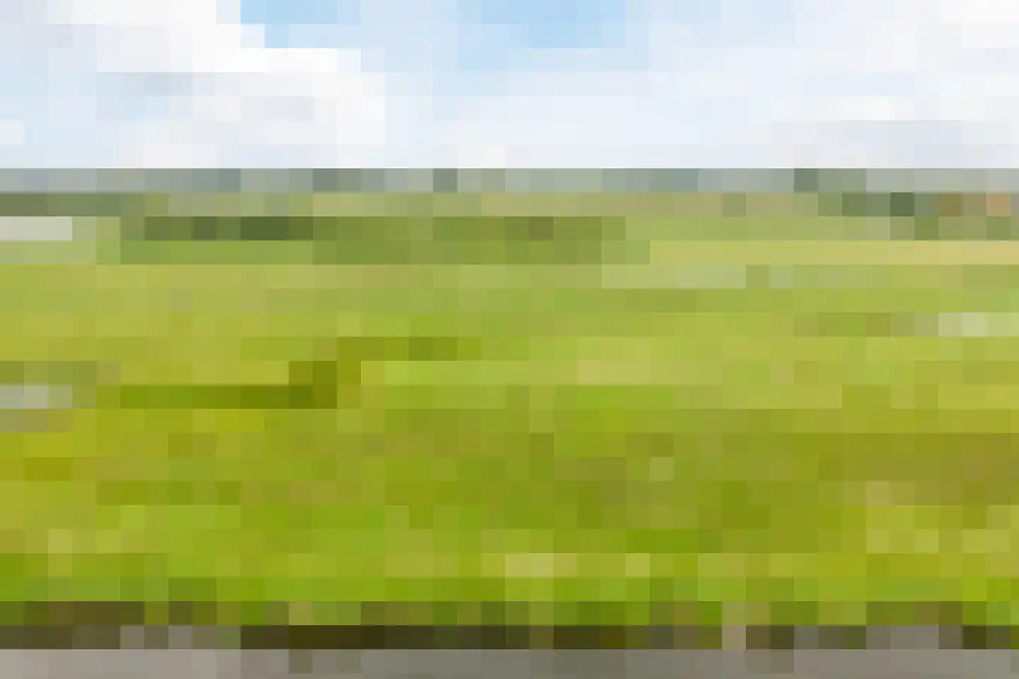 Weiver 109 Westzaan thumbnail 71