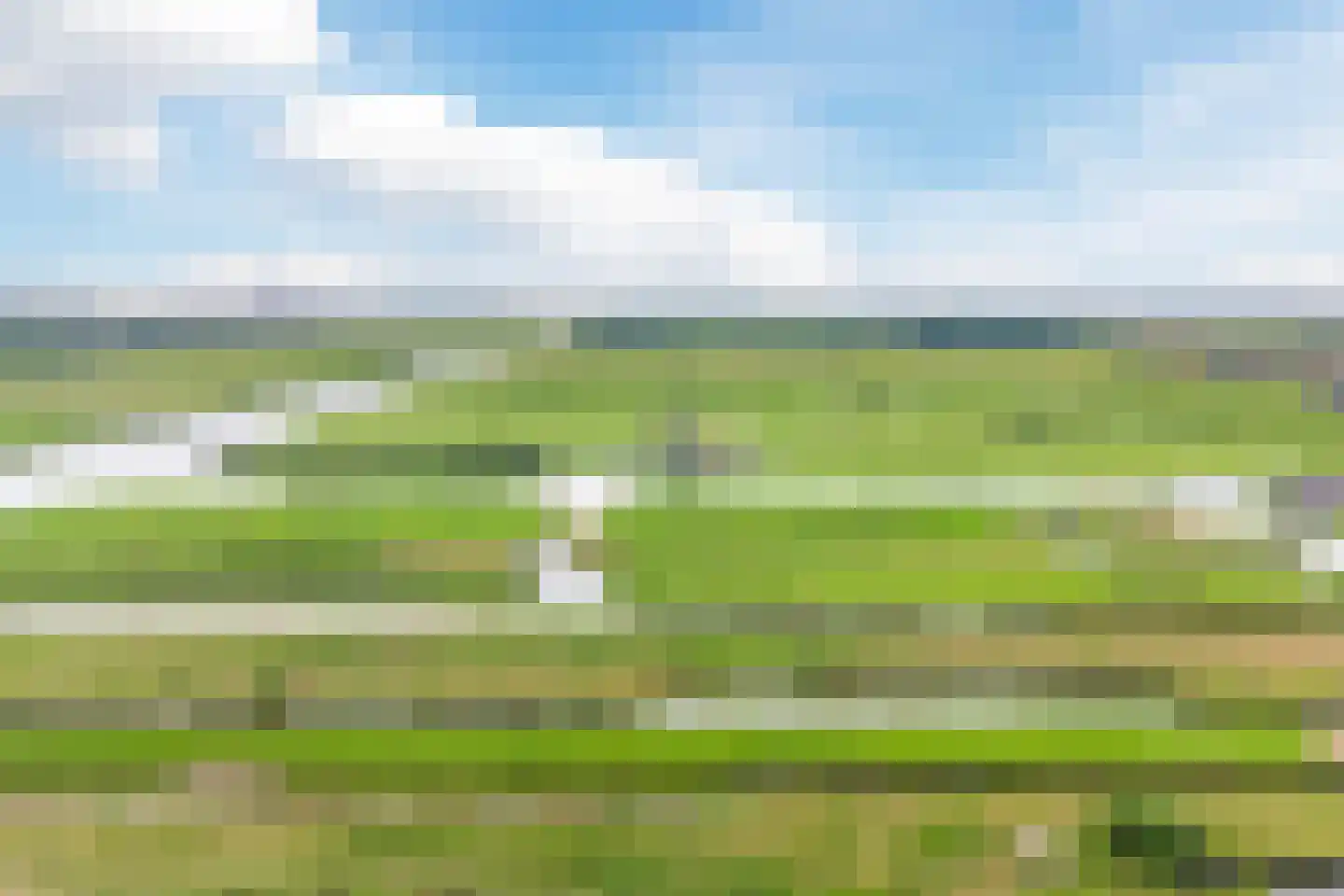 Weiver 109 Westzaan thumbnail 72