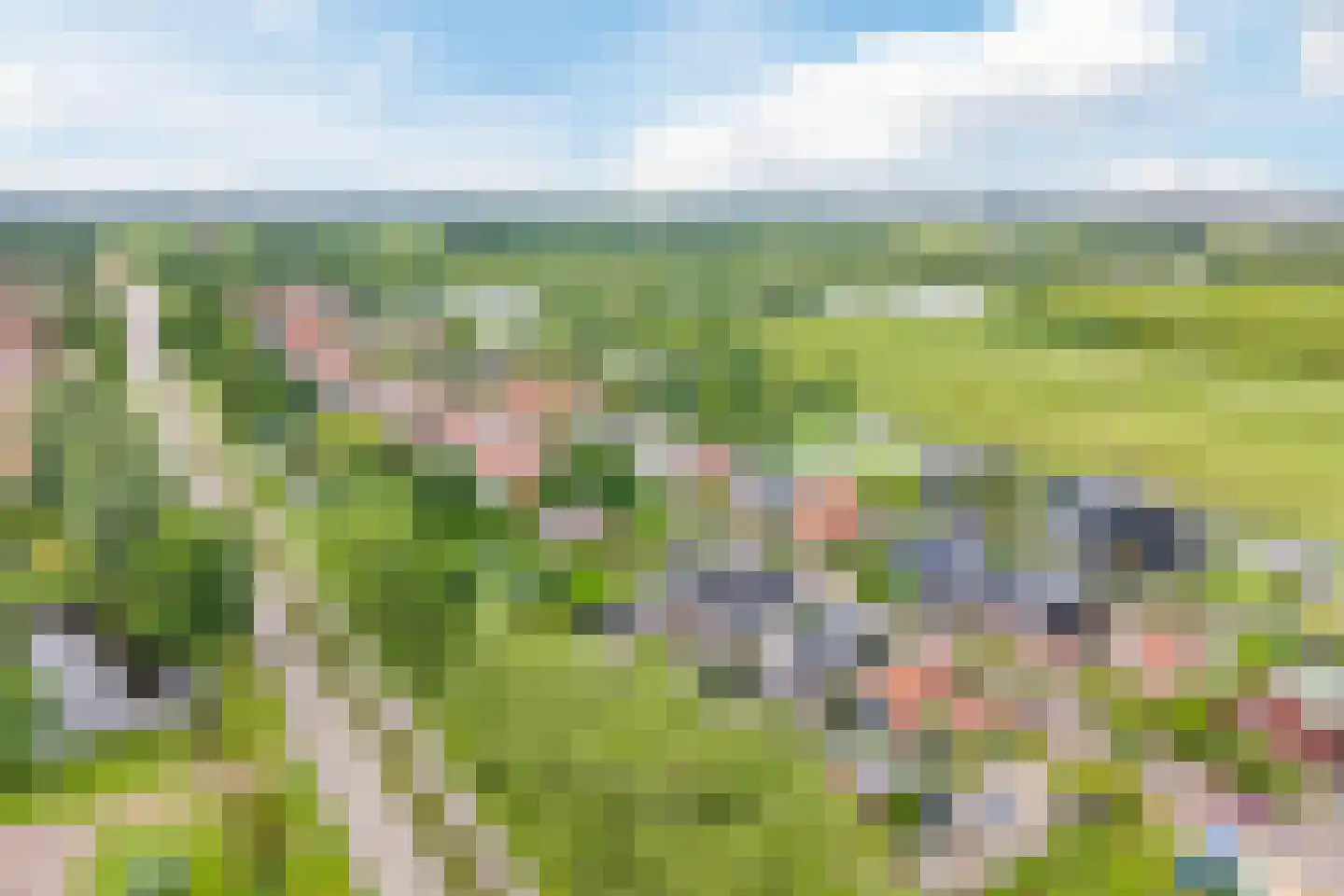 Weiver 109 Westzaan thumbnail 73