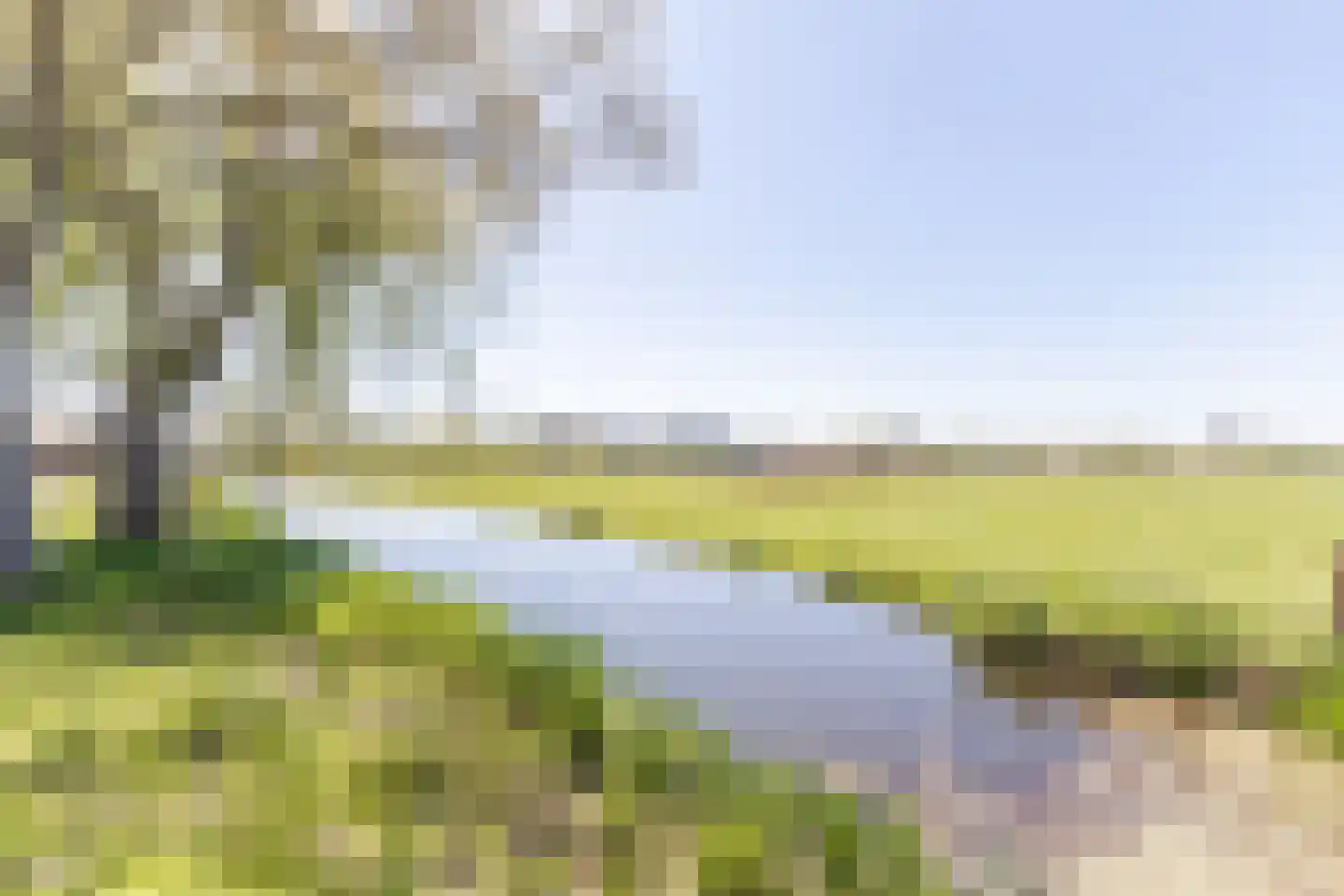 Weiver 116 Westzaan thumbnail 41