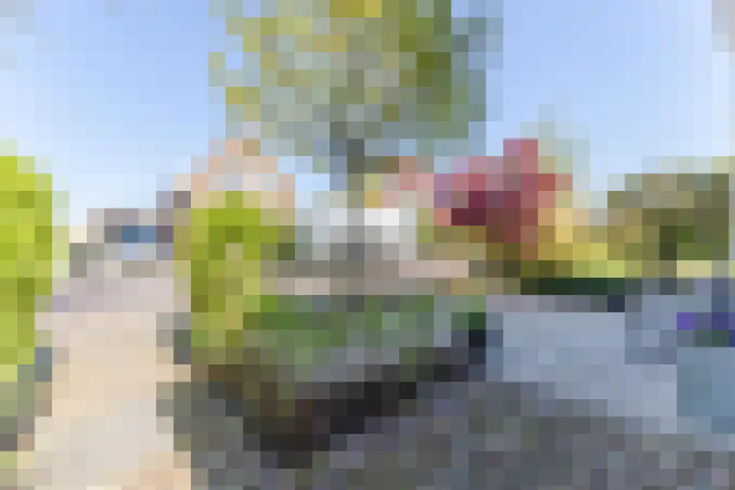 Weiver 116 Westzaan thumbnail 45