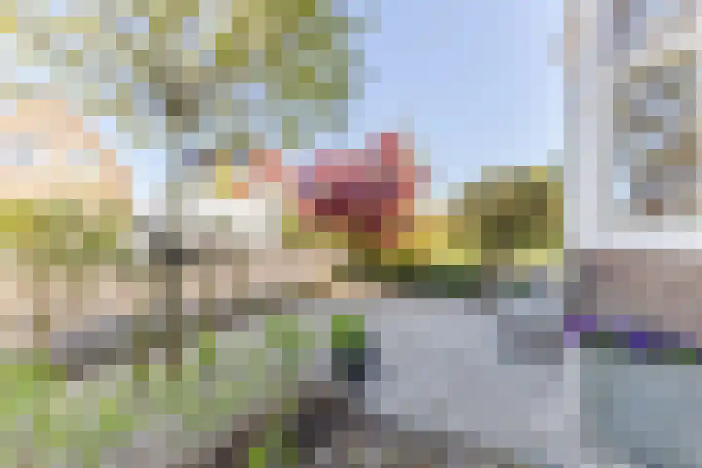 Weiver 116 Westzaan thumbnail 46