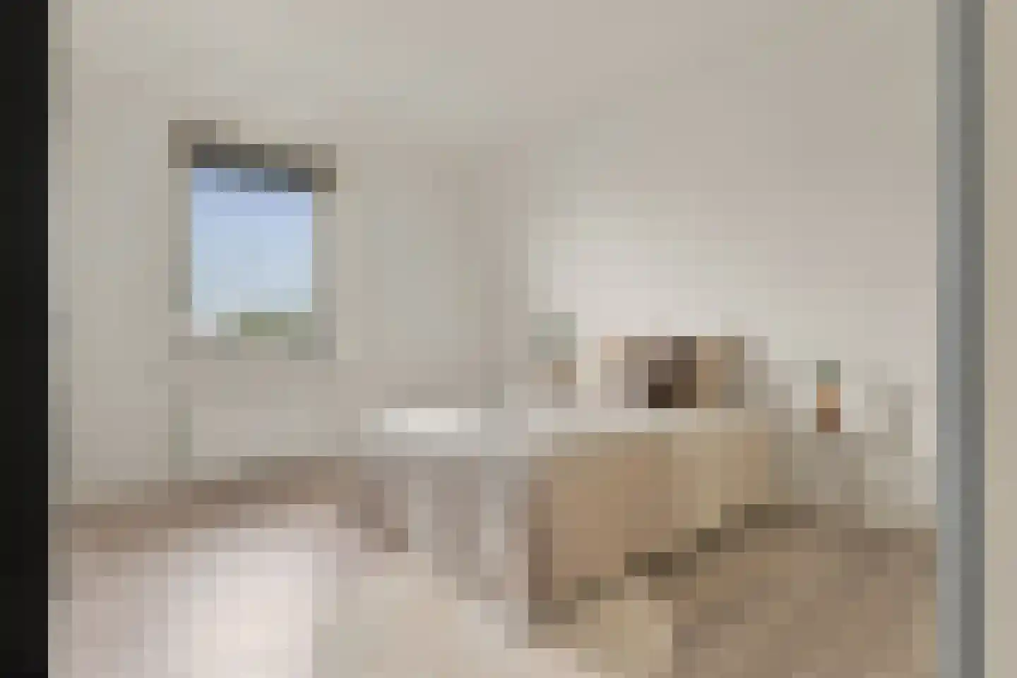 Weiver 121 Westzaan thumbnail 27