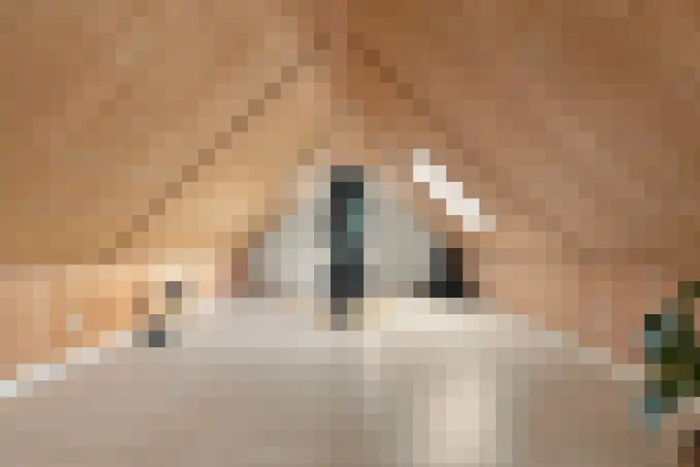 Weiver 121 Westzaan thumbnail 35