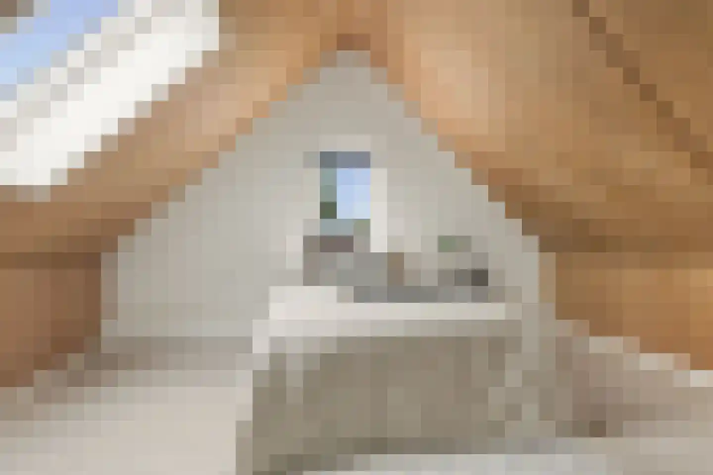 Weiver 121 Westzaan thumbnail 37