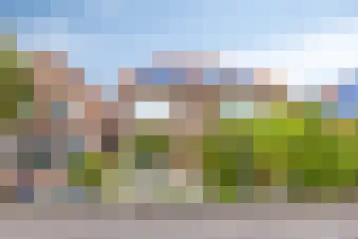 Weiver 155 Westzaan