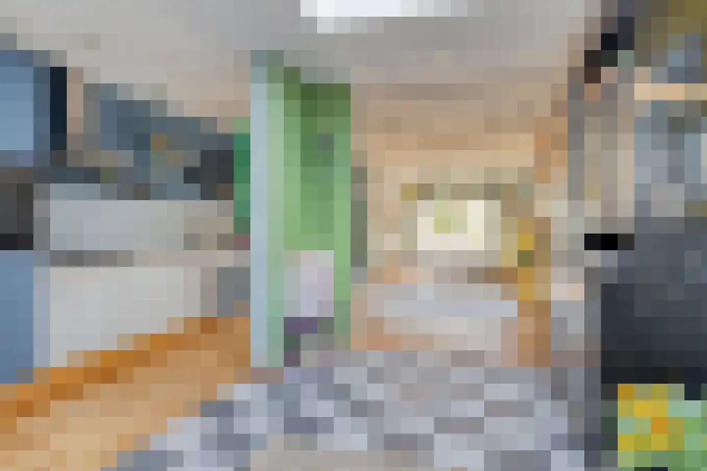 Weiver 155 Westzaan thumbnail 12