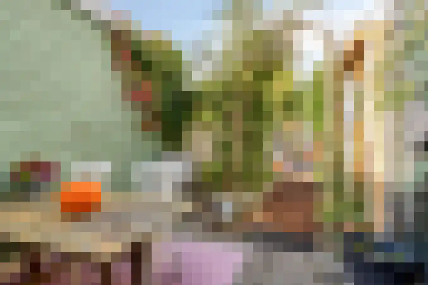 Weiver 155 Westzaan thumbnail 38