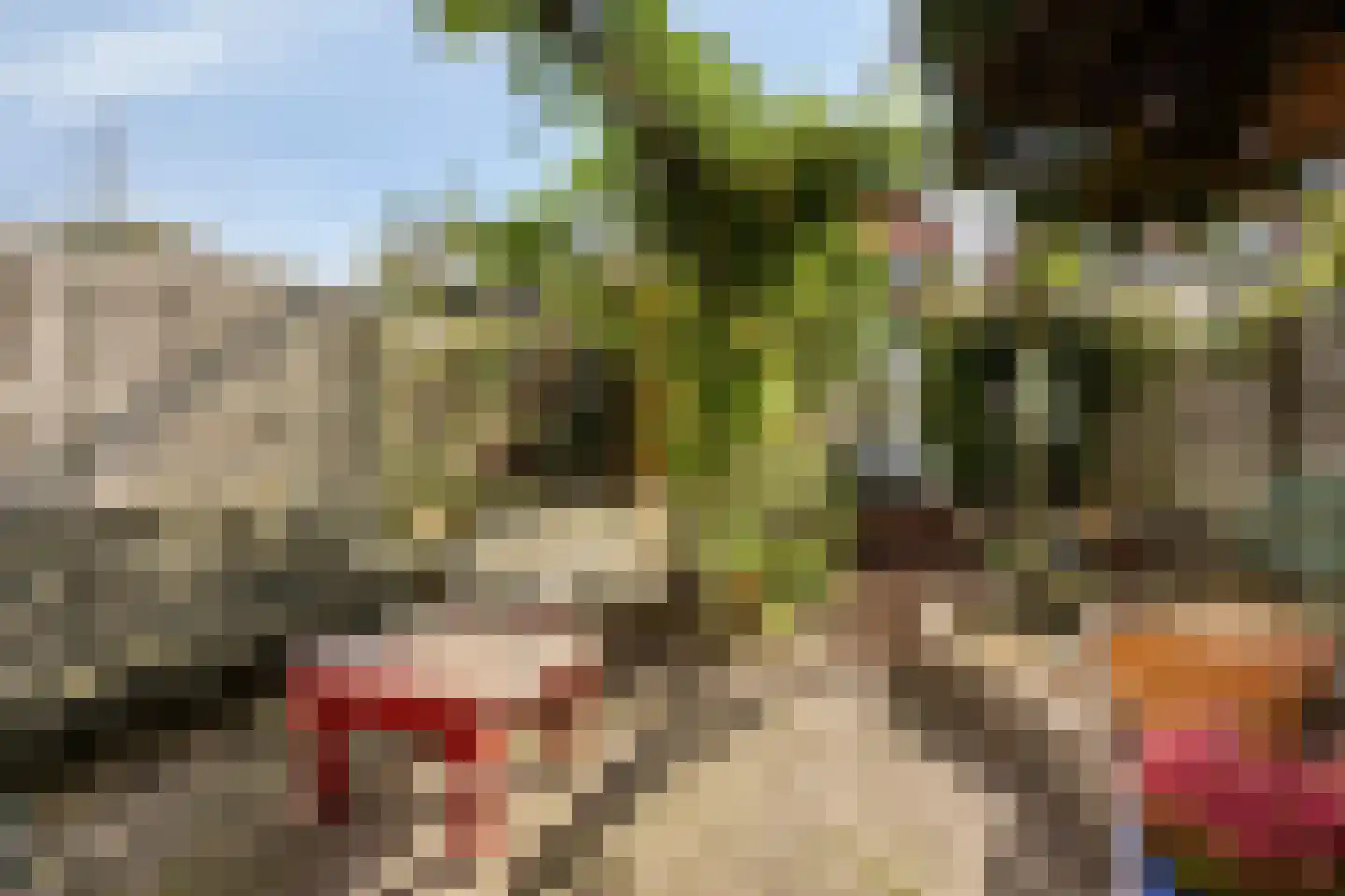 Weiver 155 Westzaan thumbnail 4