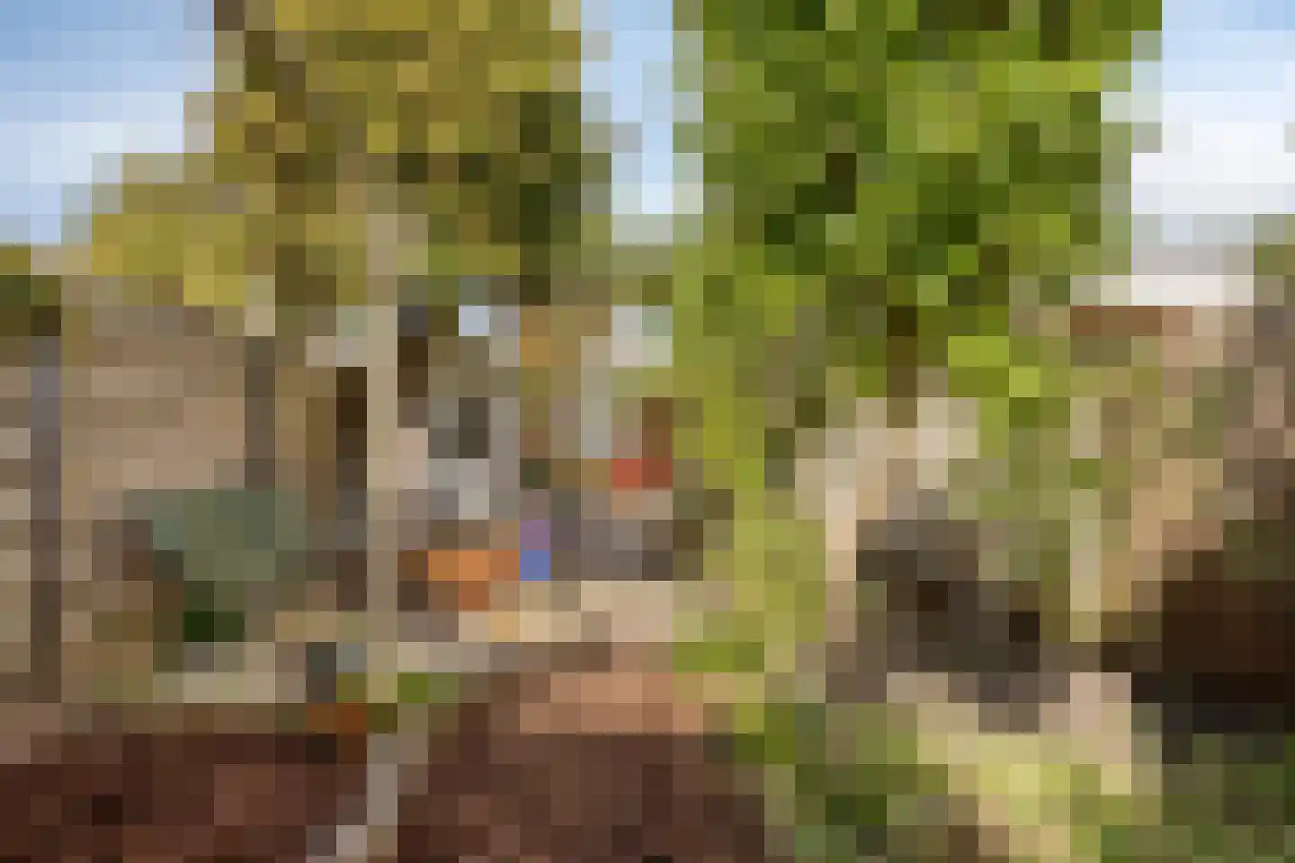Weiver 155 Westzaan thumbnail 40