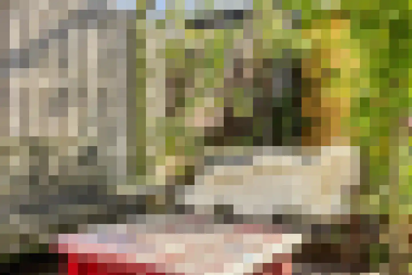 Weiver 155 Westzaan thumbnail 42
