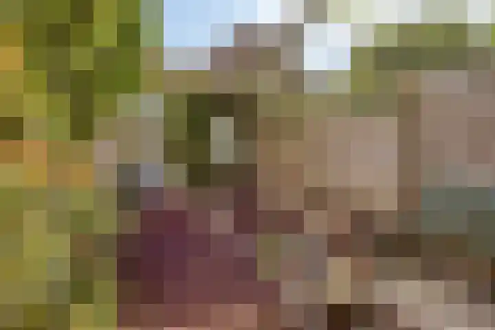 Weiver 155 Westzaan thumbnail 43