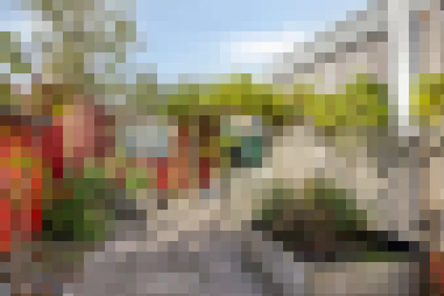 Weiver 155 Westzaan thumbnail 44