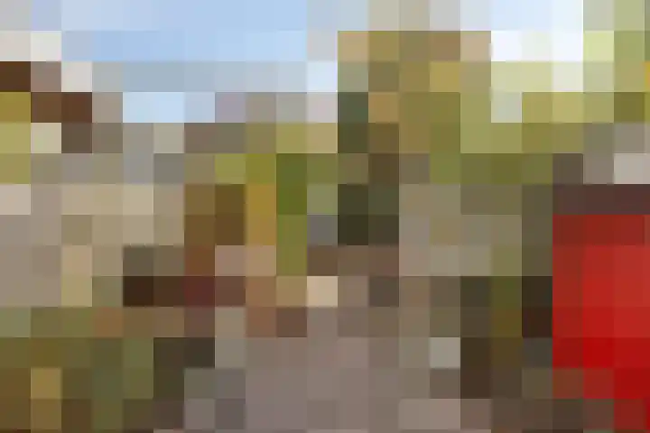 Weiver 155 Westzaan thumbnail 47