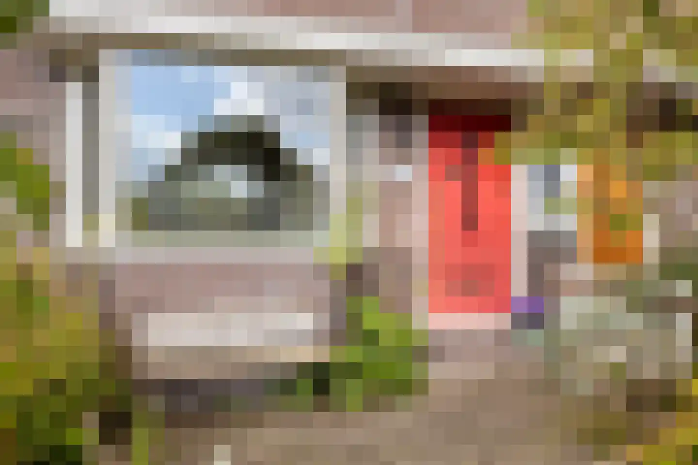 Weiver 155 Westzaan thumbnail 50