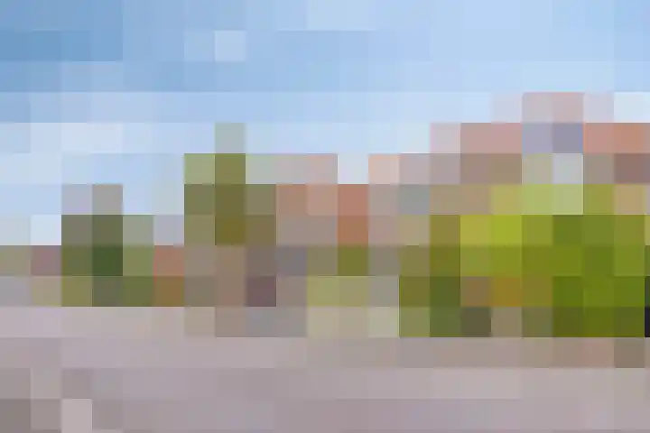 Weiver 155 Westzaan thumbnail 7