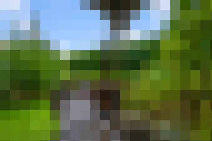 Weiver 16 Krommenie thumbnail 10