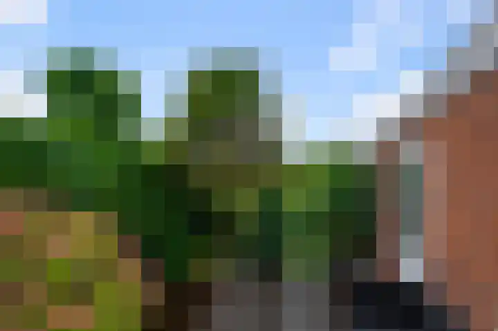 Weiver 16 Krommenie thumbnail 7