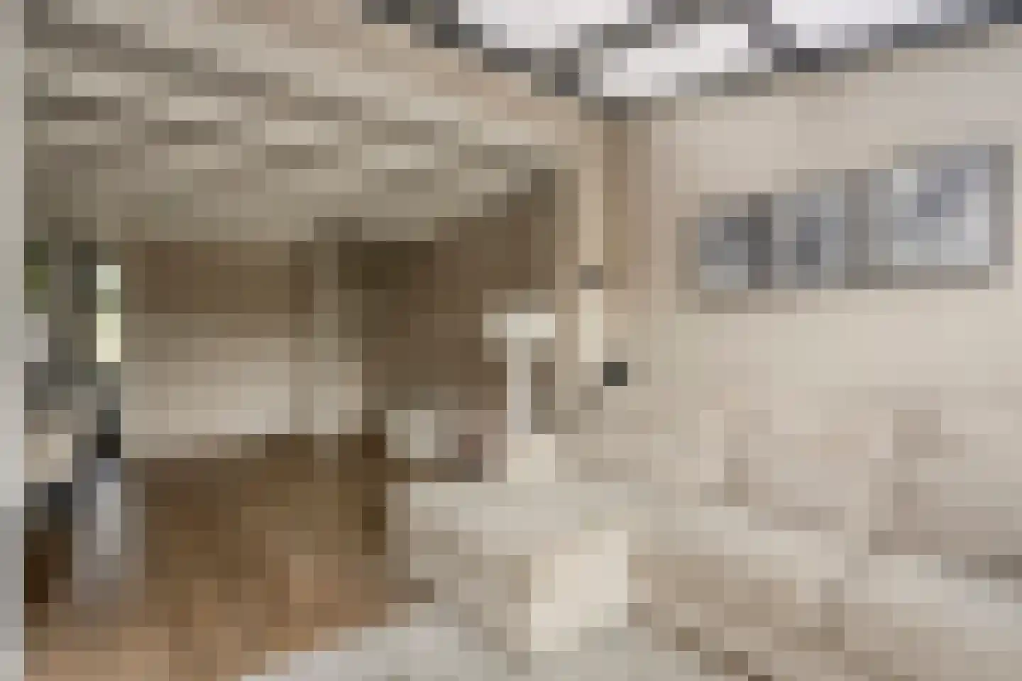 Weiver 22 Krommenie thumbnail 11