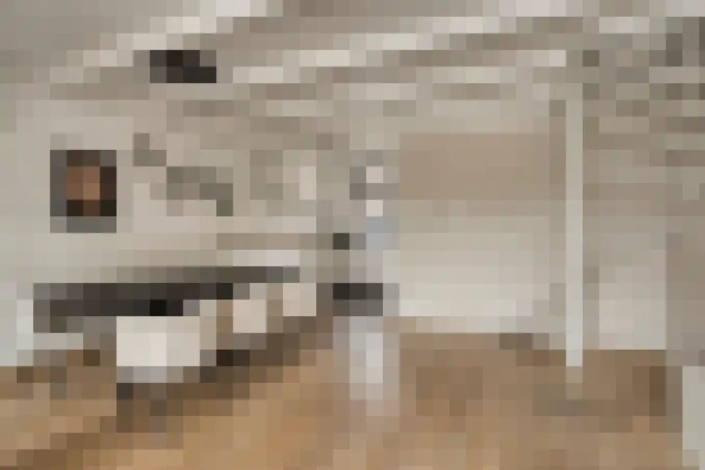 Weiver 22 Krommenie foto 3