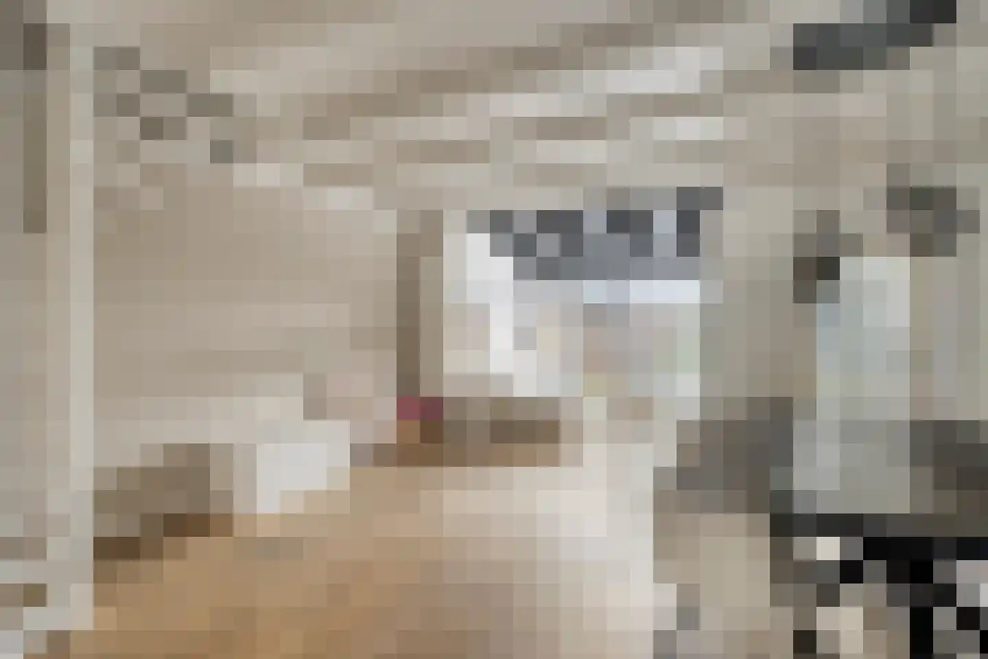 Weiver 22 Krommenie thumbnail 8