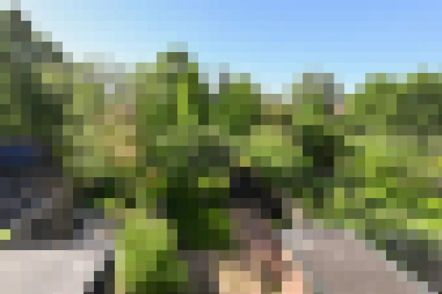 Weiver 32 Westzaan thumbnail 22