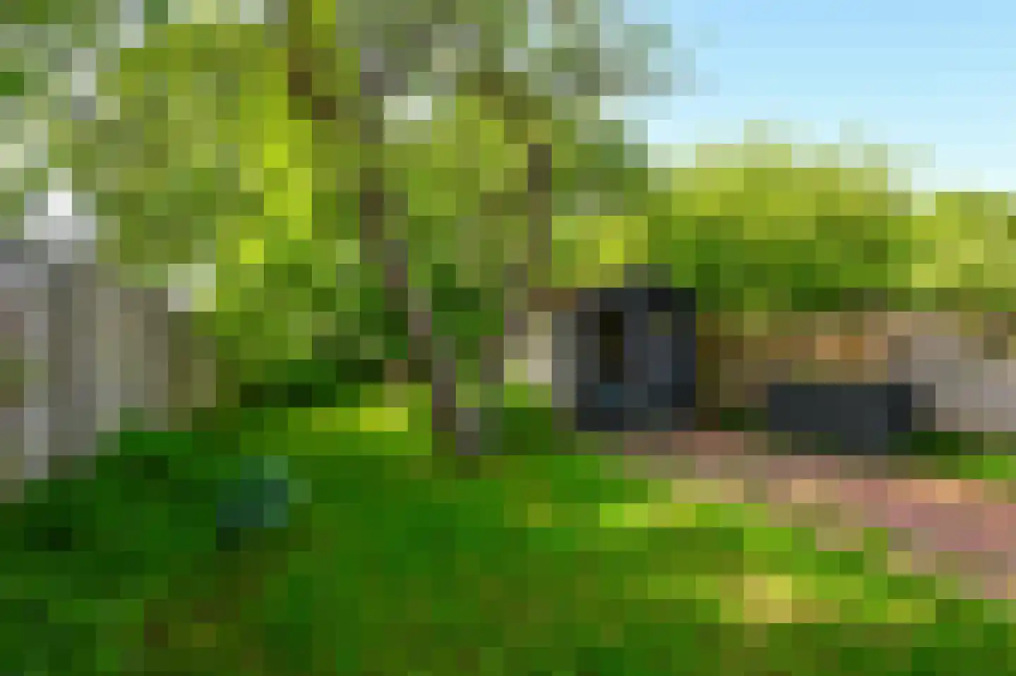 Weiver 32 Westzaan thumbnail 24