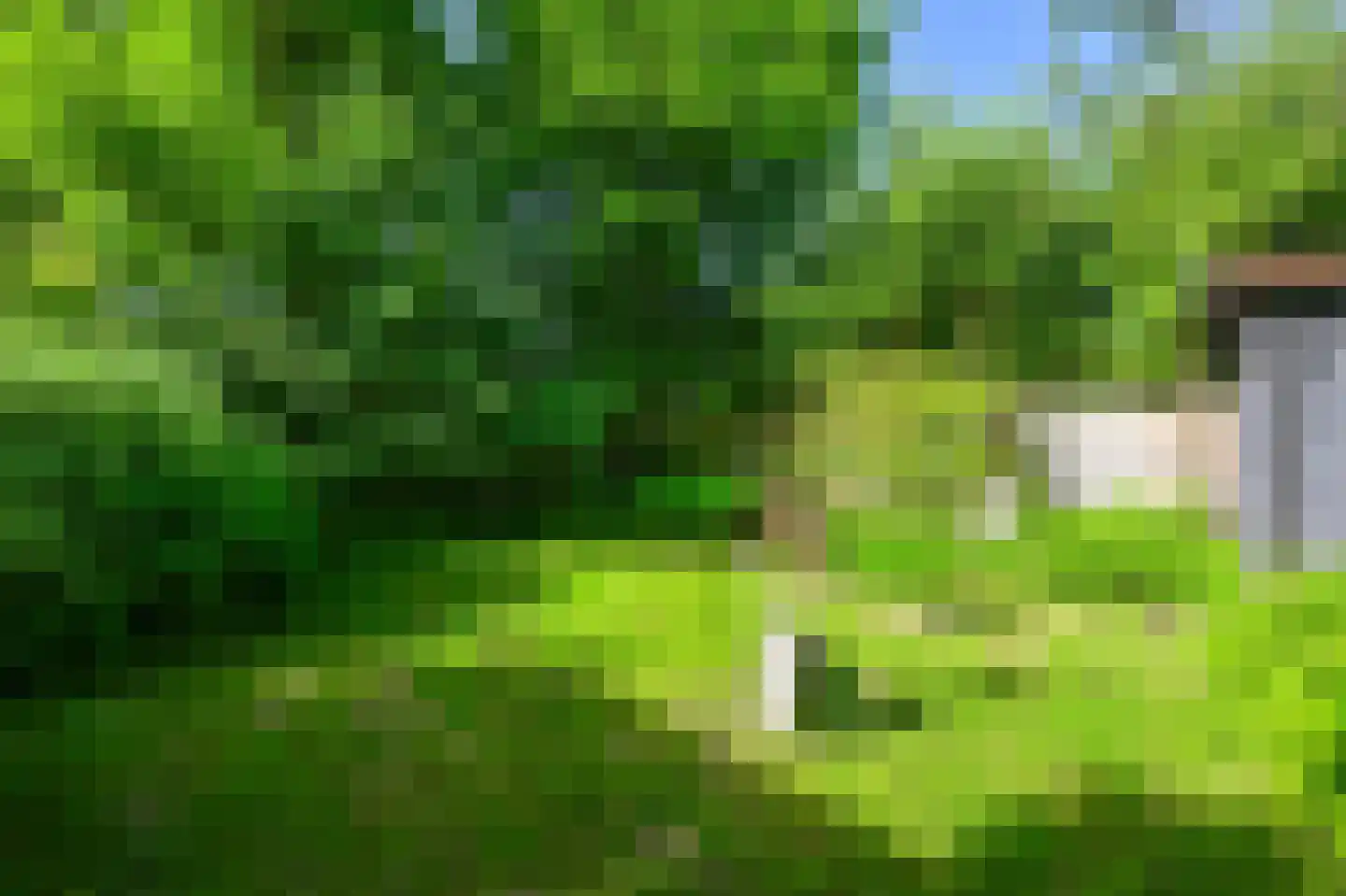 Weiver 32 Westzaan thumbnail 25