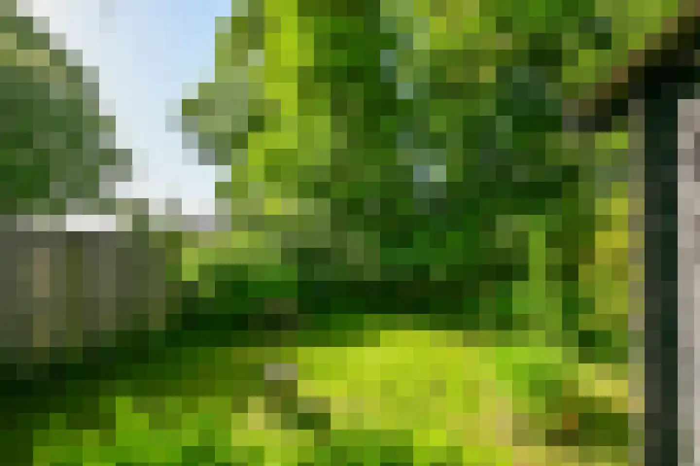 Weiver 32 Westzaan thumbnail 26
