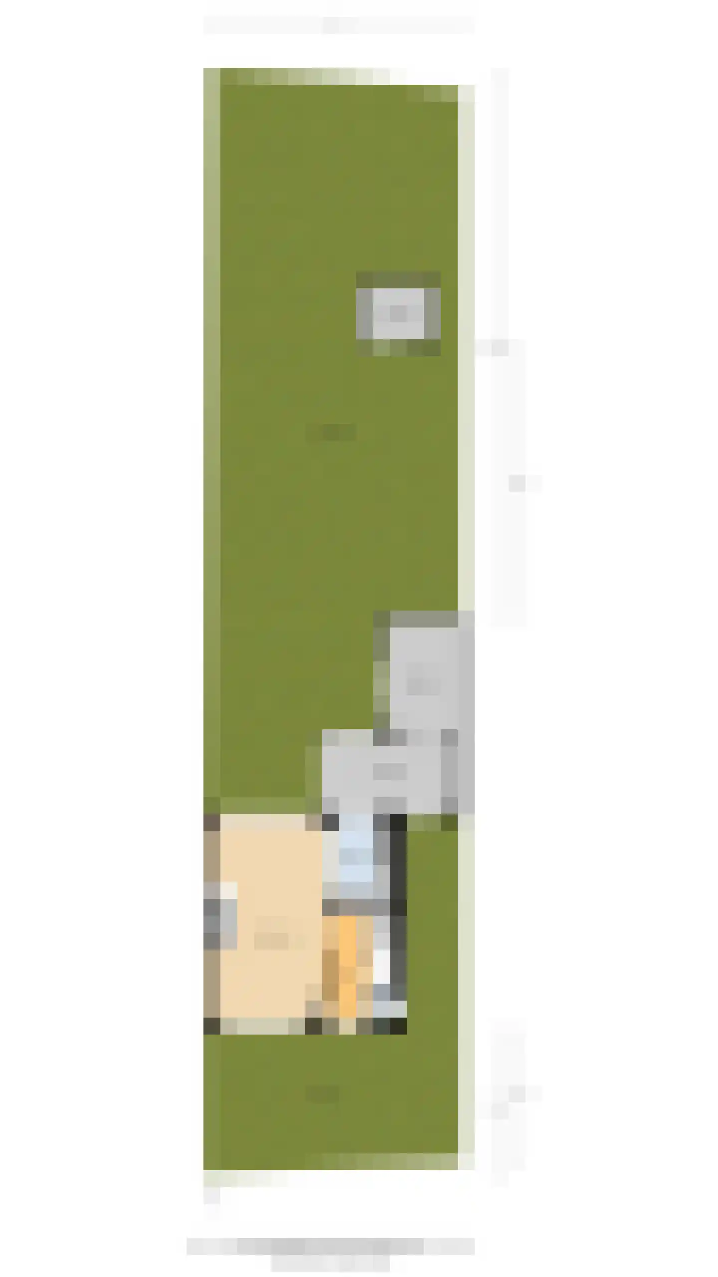 Weiver 32 Westzaan thumbnail 33