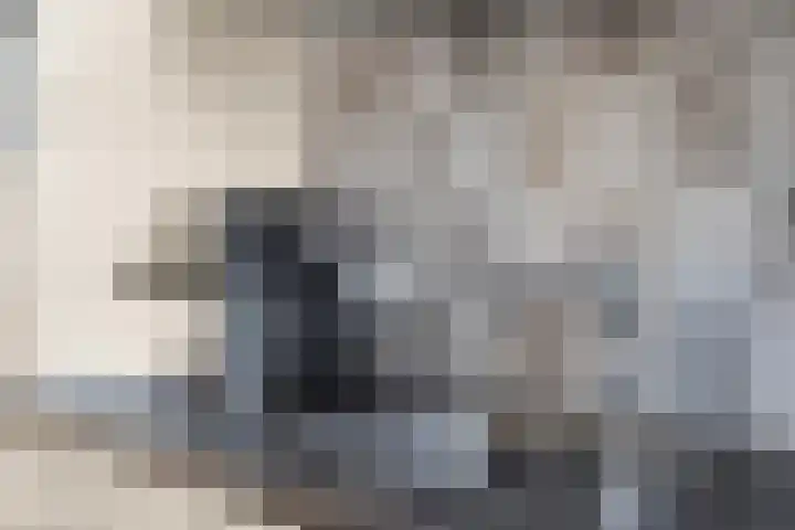 Weiver 33 Krommenie thumbnail 14