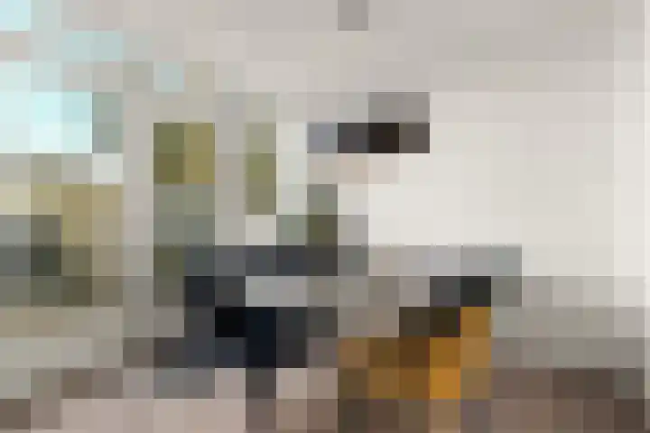 Weiver 33 Krommenie thumbnail 17
