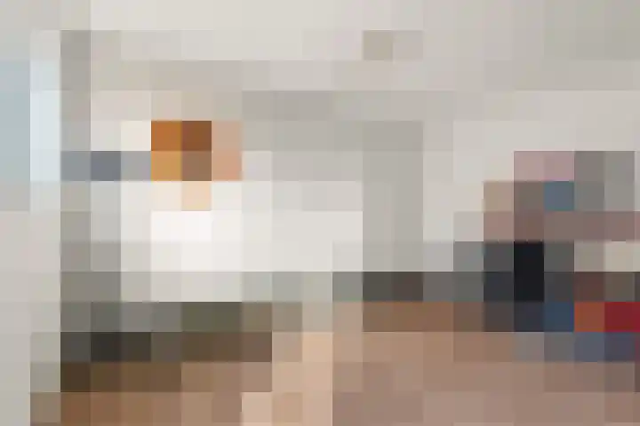 Weiver 33 Krommenie thumbnail 22