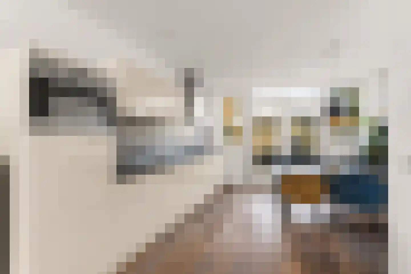 Weiver 33 Krommenie foto 3