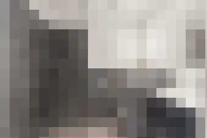 Weiver 33 Krommenie thumbnail 30