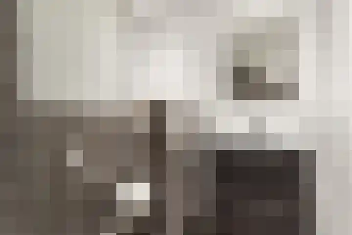Weiver 33 Krommenie thumbnail 32