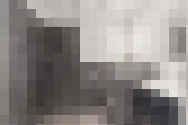 Weiver 33 Krommenie thumbnail 4