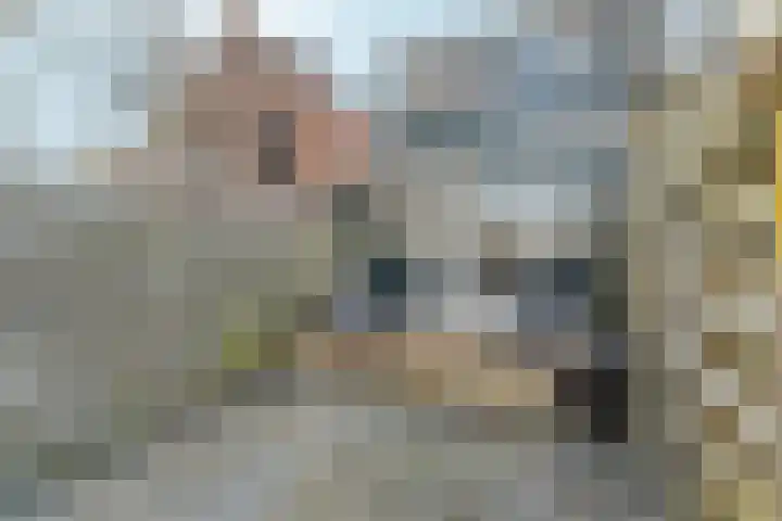 Weiver 33 Krommenie thumbnail 5