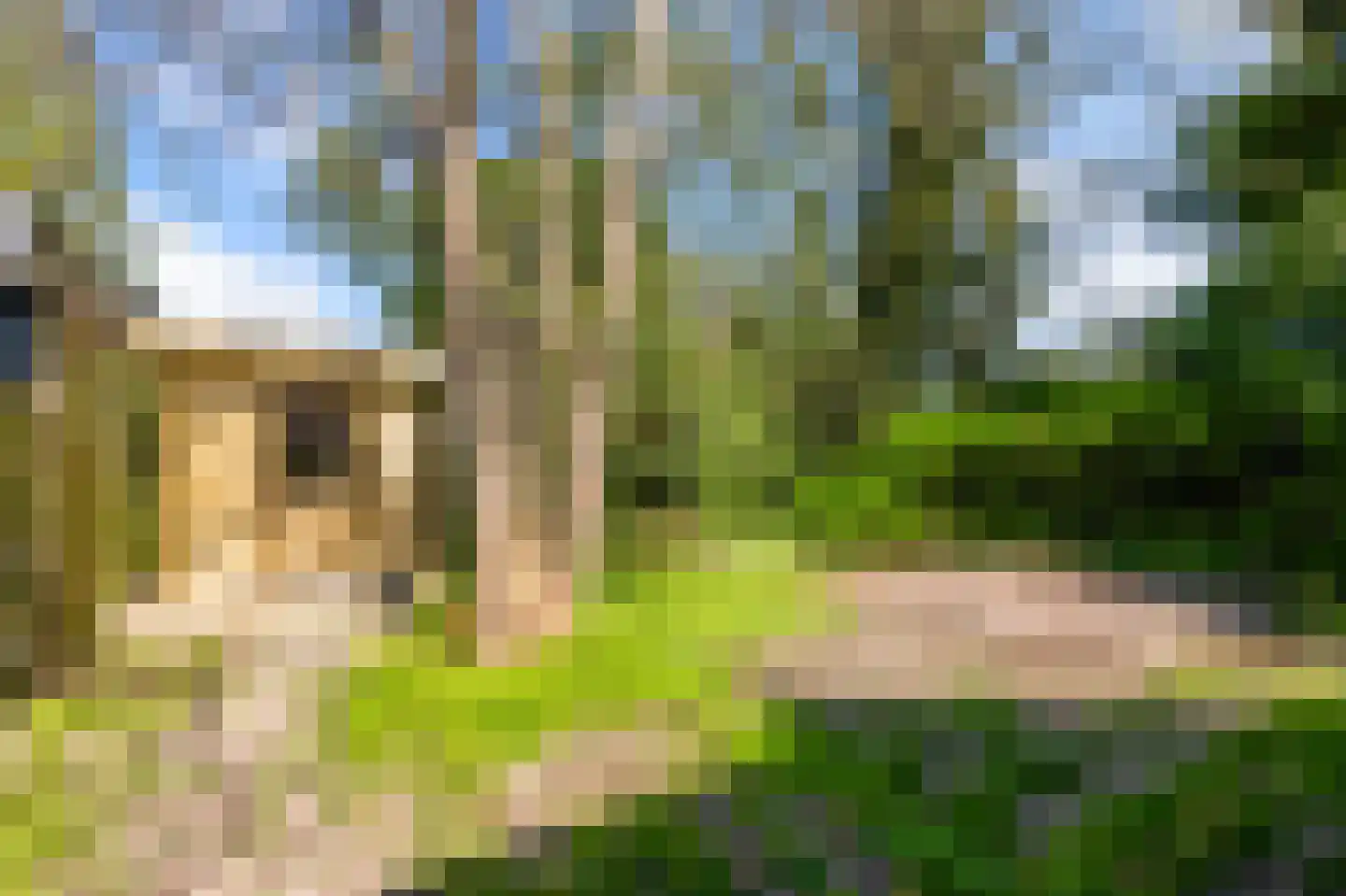 Weiver 35 Krommenie thumbnail 24