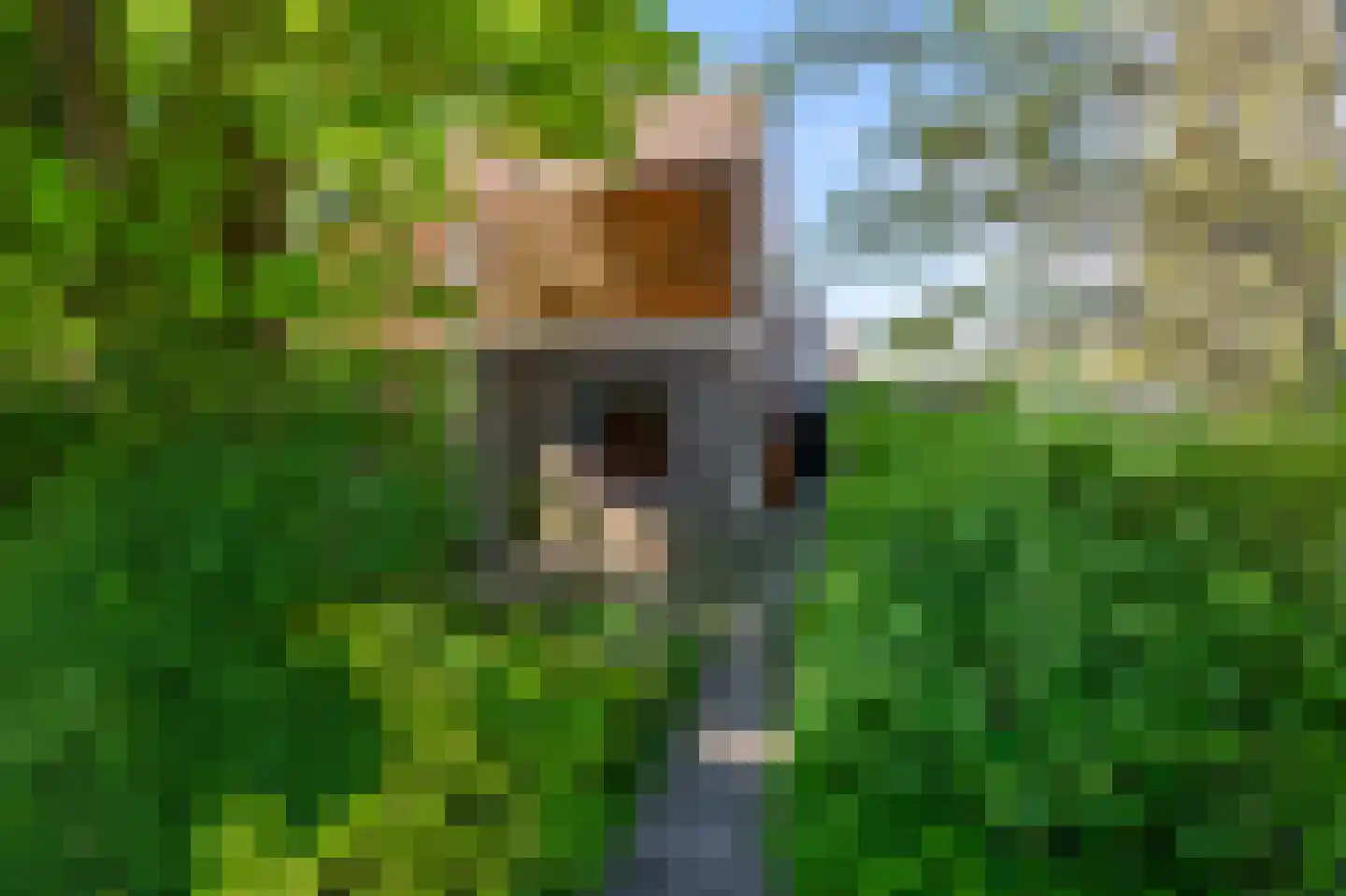 Weiver 35 Krommenie thumbnail 26