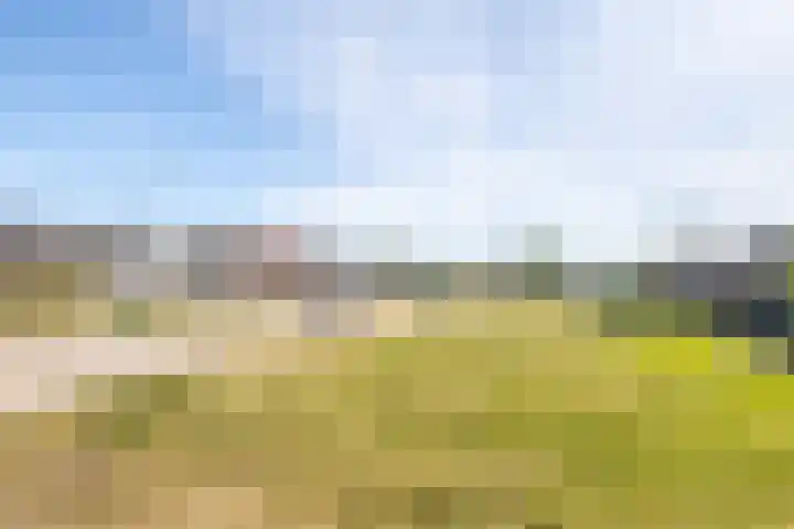 Weiver 47 Krommenie thumbnail 24
