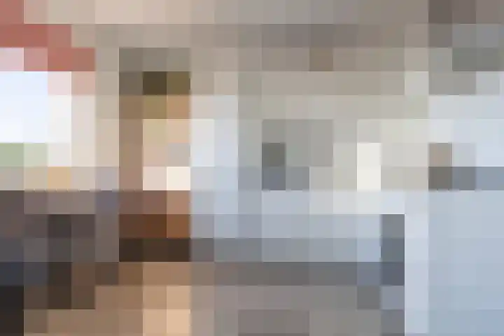 Weiver 6 B Krommenie thumbnail 9