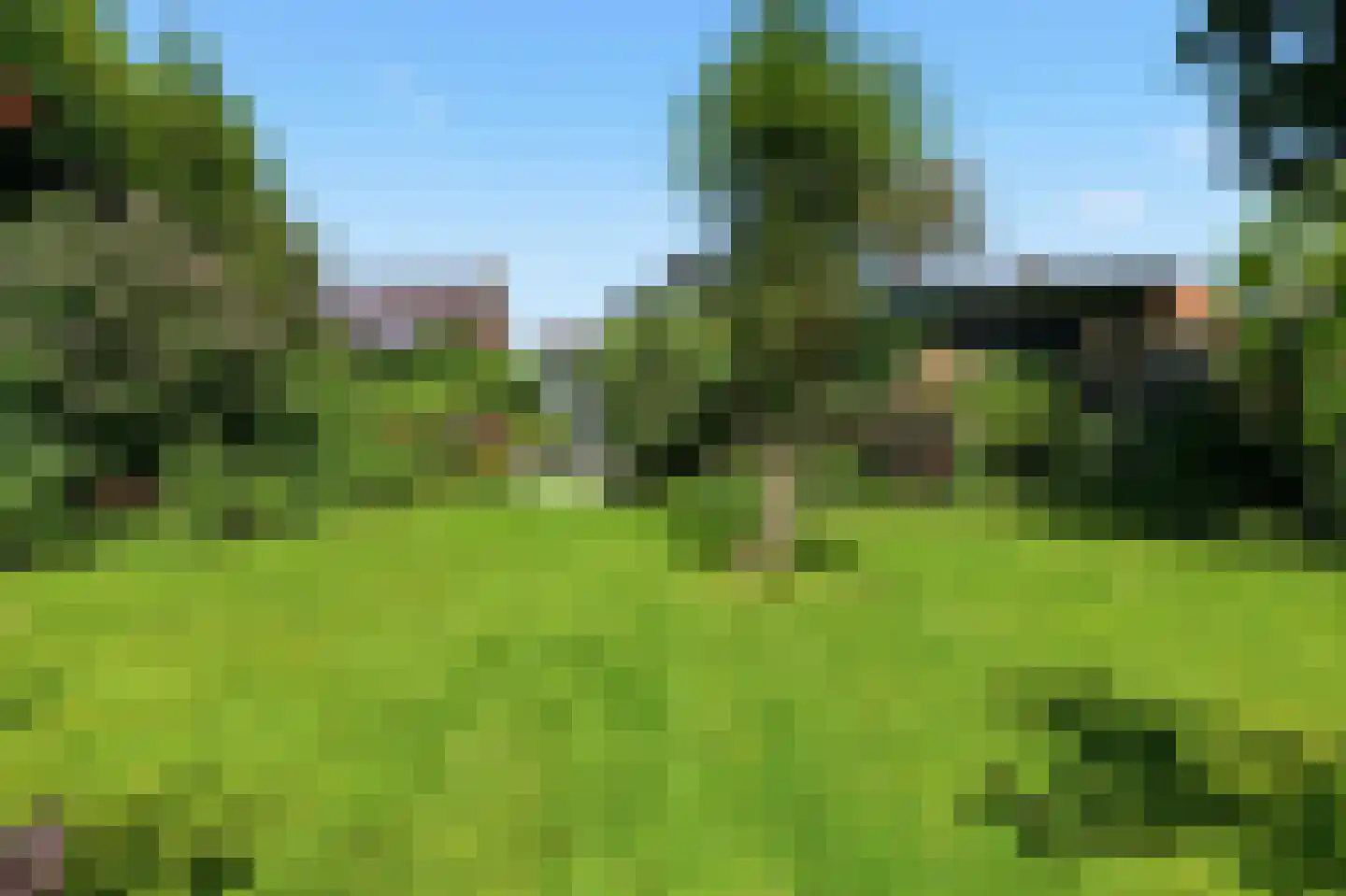 Weiver 68 Westzaan thumbnail 13