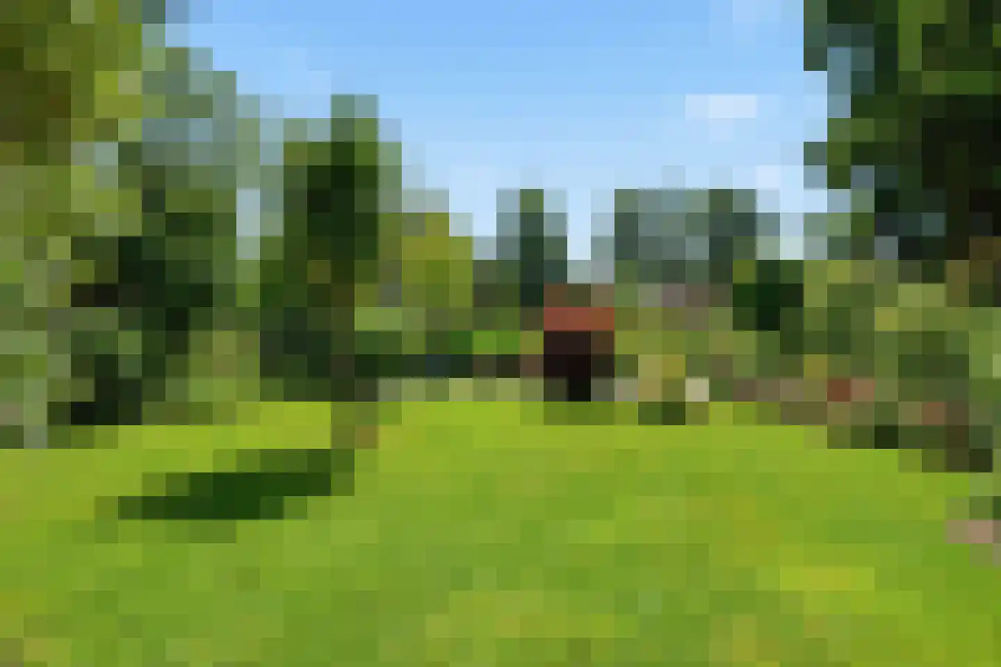 Weiver 68 Westzaan thumbnail 16